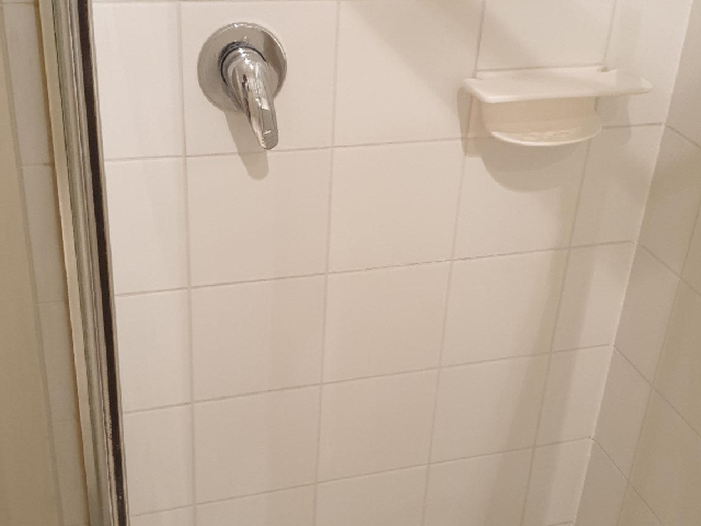 tile and grout sealing